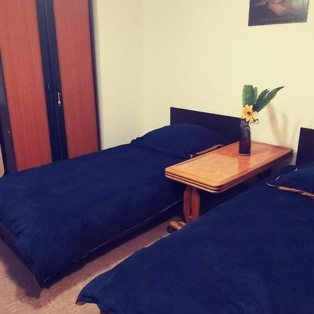 Camera Cu Baie Tina Тимишоара Экстерьер фото