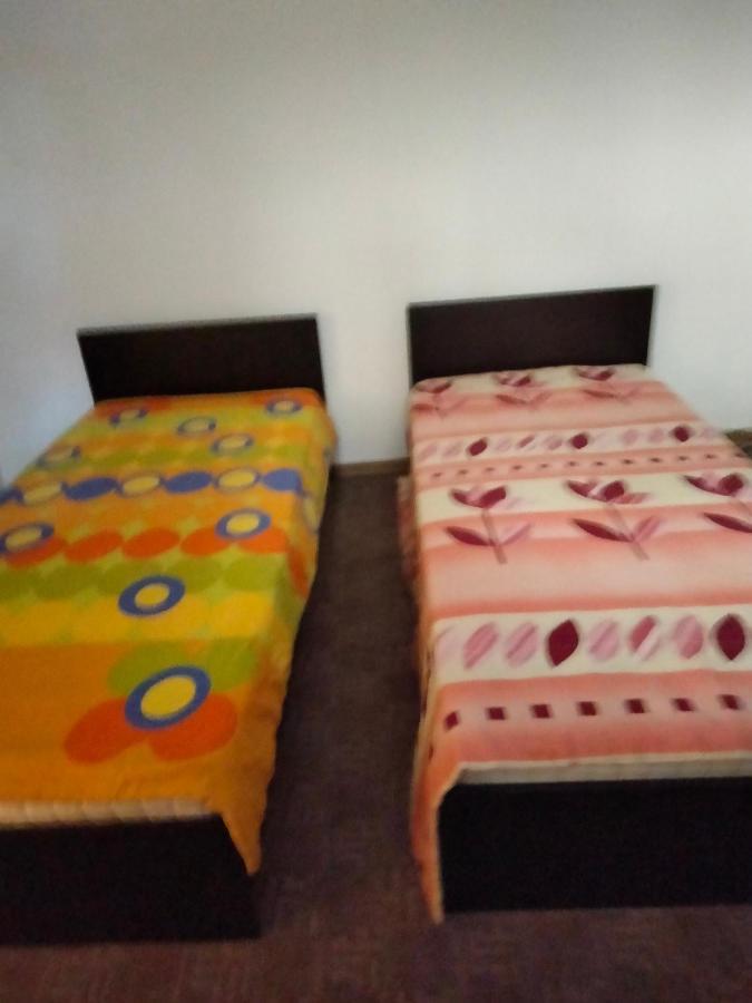 Camera Cu Baie Tina Тимишоара Экстерьер фото