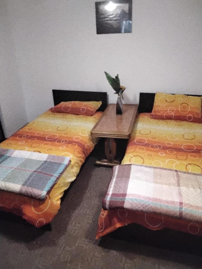 Camera Cu Baie Tina Тимишоара Экстерьер фото